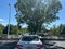 2020 Honda Accord Sedan EX