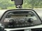 2010 Honda Odyssey Base