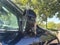 2016 Honda Pilot EX