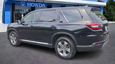2024 Honda Pilot EX-L 8 Passenger