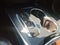2017 Acura MDX Base