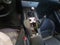 2005 Honda S2000 Base