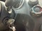 2012 Honda Fit Base