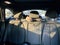 2019 BMW X1 xDrive28i xDrive28i